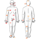 Illustration for article titled These Are the Most Painful Places to Get Stung by a Bee
